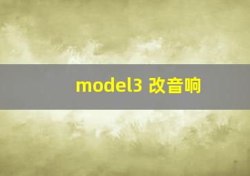 model3 改音响